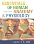 Essentials of Human Anatomy and Physiology- Text Only