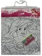 Disney Princess Doodle Set - make your own mini posters and decorate your room