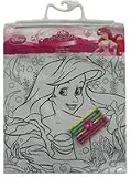Disney Princess Doodle Set - make your own mini posters and decorate your room
