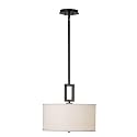Kenroy Home 10061ORB Endicott Pendant, Oil Rubbed Bronze