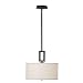 Kenroy Home 10061ORB Endicott Pendant, Oil Rubbed Bronze