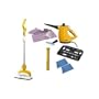HAAN Deluxe Total Steam Cleaning System - Includes FS20+ and HS20