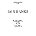 Iain Banks, a Modern Author