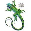 Iguana Be More Like Jesus Adult T-Shirt