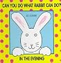 Can You Do What Rabbit Can Do?: In the Evening