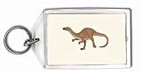 Coelophysis Keychain