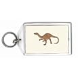 Coelophysis Keychain