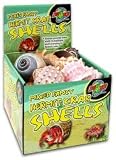 Hermit Crab Shells Natural 24