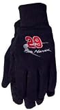 #29 Kevin Harvick