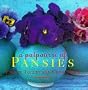 A Potpourri Of Pansies