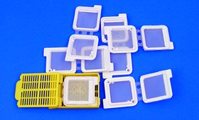 CellSafe Biopsy Insert, 100/PK