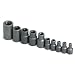 SK 19760 10 Piece 1/4-Inch, 3/8-Inch, and 1/2-Inch Drive E4 to E18 Torx Socket Set