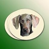 NEW! Neoprene Weimaraner Coasters Set of 4
