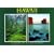 Hawaii: the photography of David Muench: A collection of 30 postcards