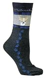 American Kennel Club (AKC) Chihuahua Dog Socks (Adult Size)