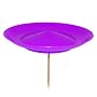 Cathy's Flexi spinning plate - Purple