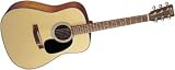 D18 Acoustic Guitar