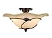 Vaxcel Lighting CF38815OL Oil Shale Vine Transitional Two Light Down Lighting Semi Flush Ceiling Fixture from the Vine Collection