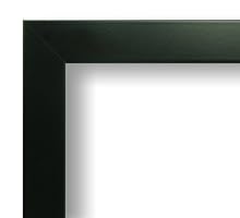 19x27 / 19x27 Solid Black custom picture frame complete new