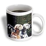 Dogs English Setter - English Setter - Mugs