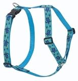 Lupine Large Dog Harness - Turtle Reef 20-32
