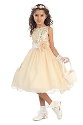Girls Tea Length Sequined Round Neck Tulle  Dress