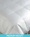 Lauren Ralph Lauren Bedding, Studio Down Comforters