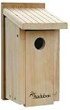 Audubon Cedar Bluebird House