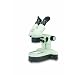 National Optical 460TBL-10 Stereo Zoom Microscope with Inclined Head, 10x Eyepiece, 1x, 3x Objective, Illuminator Light Source, 10x, 30x Magnification
