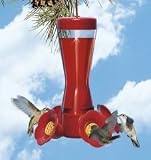 4 Fountain Feeder 8 oz