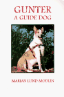 Gunter: A Guide Dog