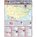 America The 50 States (Quickstudy: Academic)