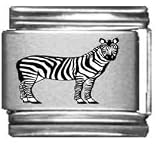 Clearly Charming Zebra Laser Italian Charm