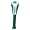Michigan State Spartans