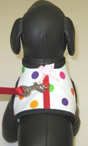 Rainbow Dots Soft Dog/Cat Harness/Leash Combo *X-Small*
