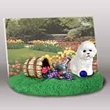 Bichon Frise - Picture Frame with Teddy Bear