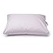 Sleep Yoga 2-Pack Standard/Queen Pillow Zipper Cover Protector - Cotton Hypoallergenic, Machine Washable - Lavender