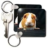Guinea Pig - Guinea Pig - Key Chains