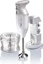 Bamix 391203 deluxe hand mixer in silver.