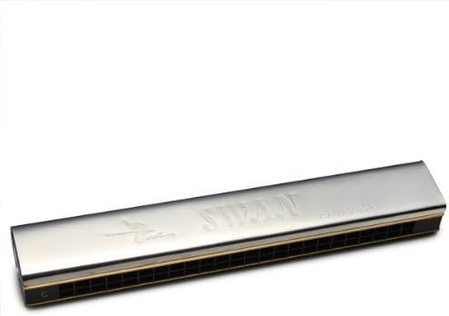 24 Holes Echo Harmonica Key of C Mouth Organ Silver 178mm by ptyusltd