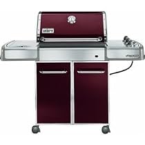 Weber 3754301