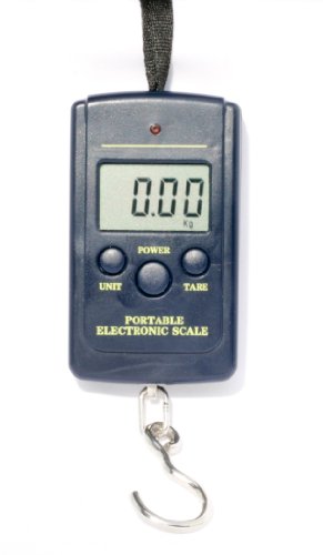 Newton bilancia da viaggio portabile / bilancia sospesa / bilancia bagaglio / bilancia tascabile / bilancia per pesci 40kg/10g blu Newton bilancia da viaggio portabile / bilancia sospesa / bilancia bagaglio / bilancia tascabile / bilancia per pesci 40kg/10g blu