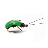 Green Leaf Hopper Dry
