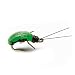 Green Leaf Hopper Dry