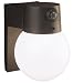 : Heath Zenith Entryway Globe Glass Motion Sensor (SL-5615)