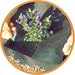 Weedban 50 Weed Control Fabric: guaranteed against weeds for 15 years, 10m x 2m