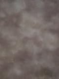 Prism Backdrops AMGR1020