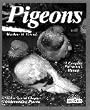 Barrons Books Pigeons Pet Owners Manual
