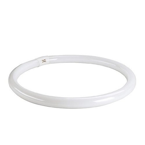 T8-Ringform Leuchtstofflampe,