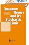 Quantum Theory and Its Stochastic Limit